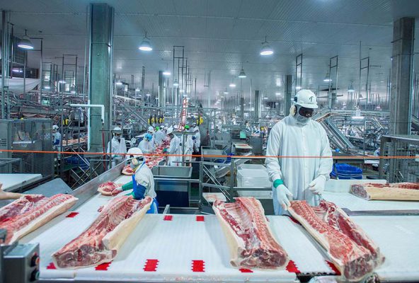 quy trình sản xuất thịt bò tại châu âu