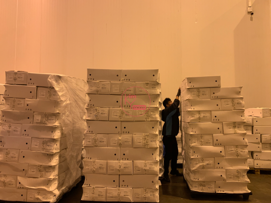 Kim Vy Foods - công ty nhập khẩu sườn bò có xương từ Tây Ban Nha